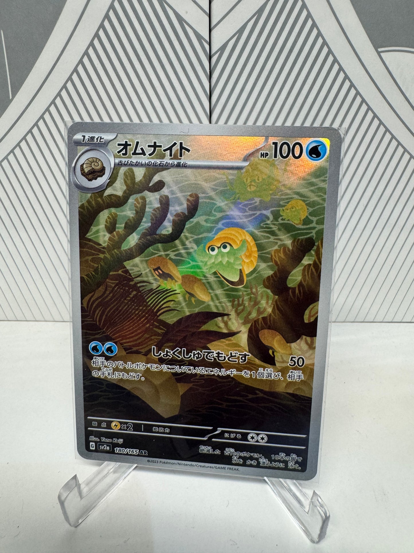 Omanyte 180/165 Art Rare